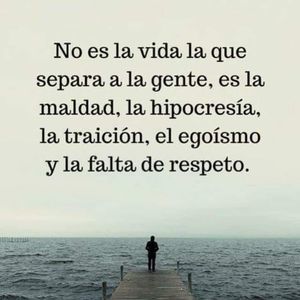 Meet your Posher, Abigail